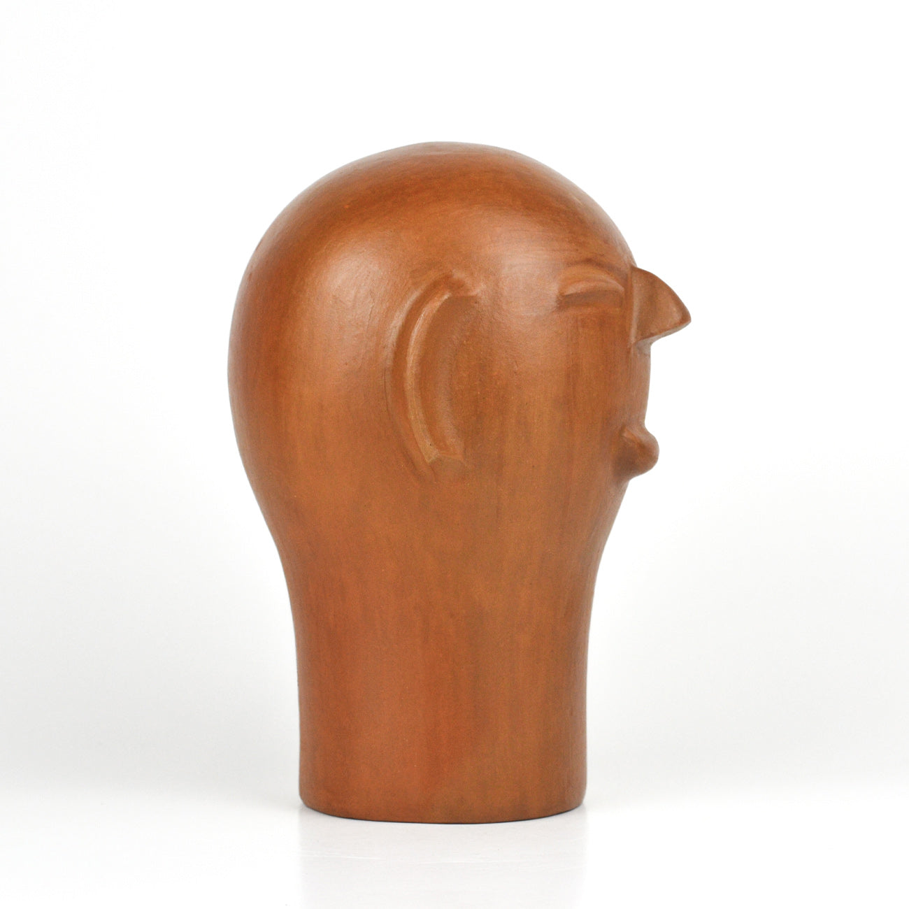 Natural Head - Cida Lima