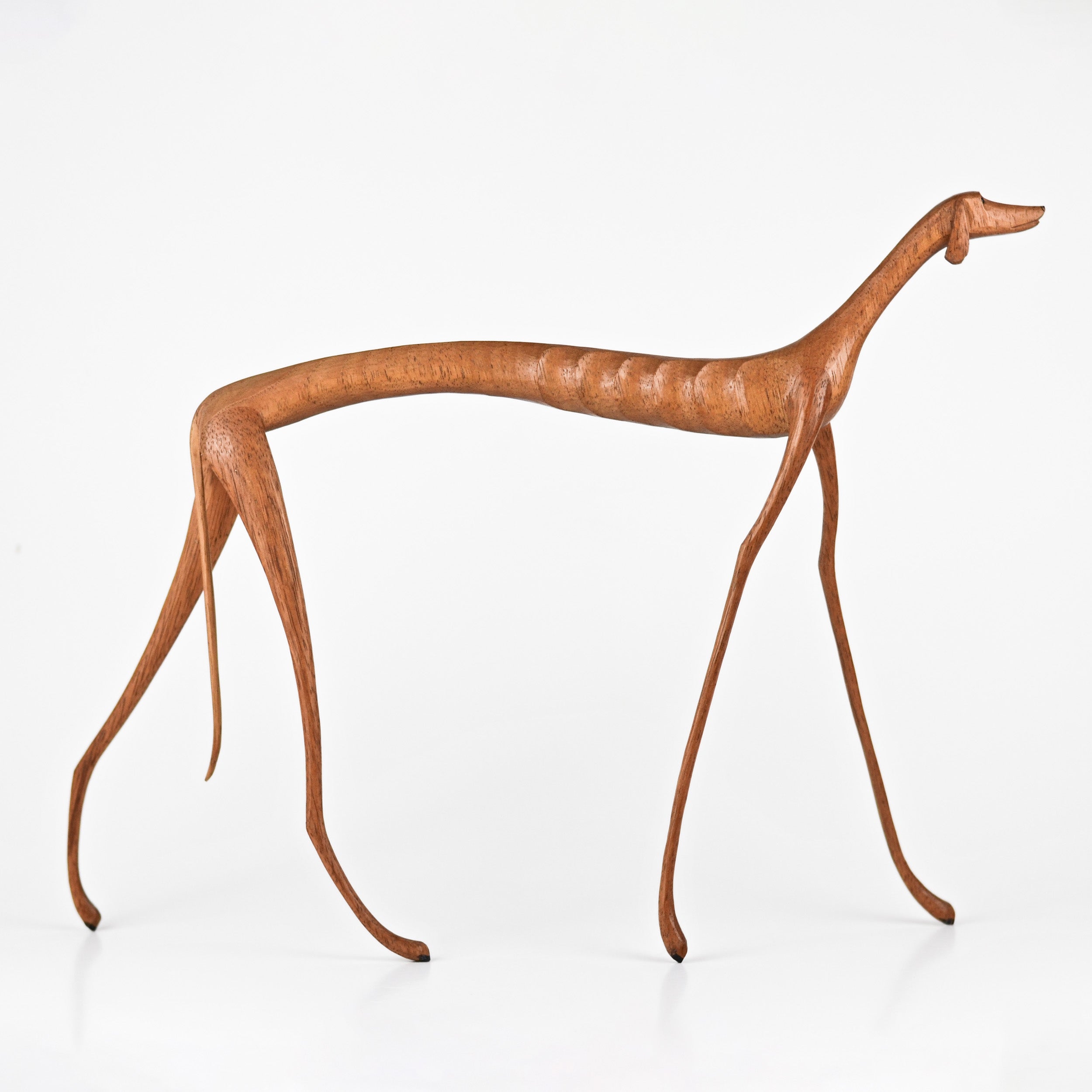 Baleia the Dog — Standing, Head Held High
