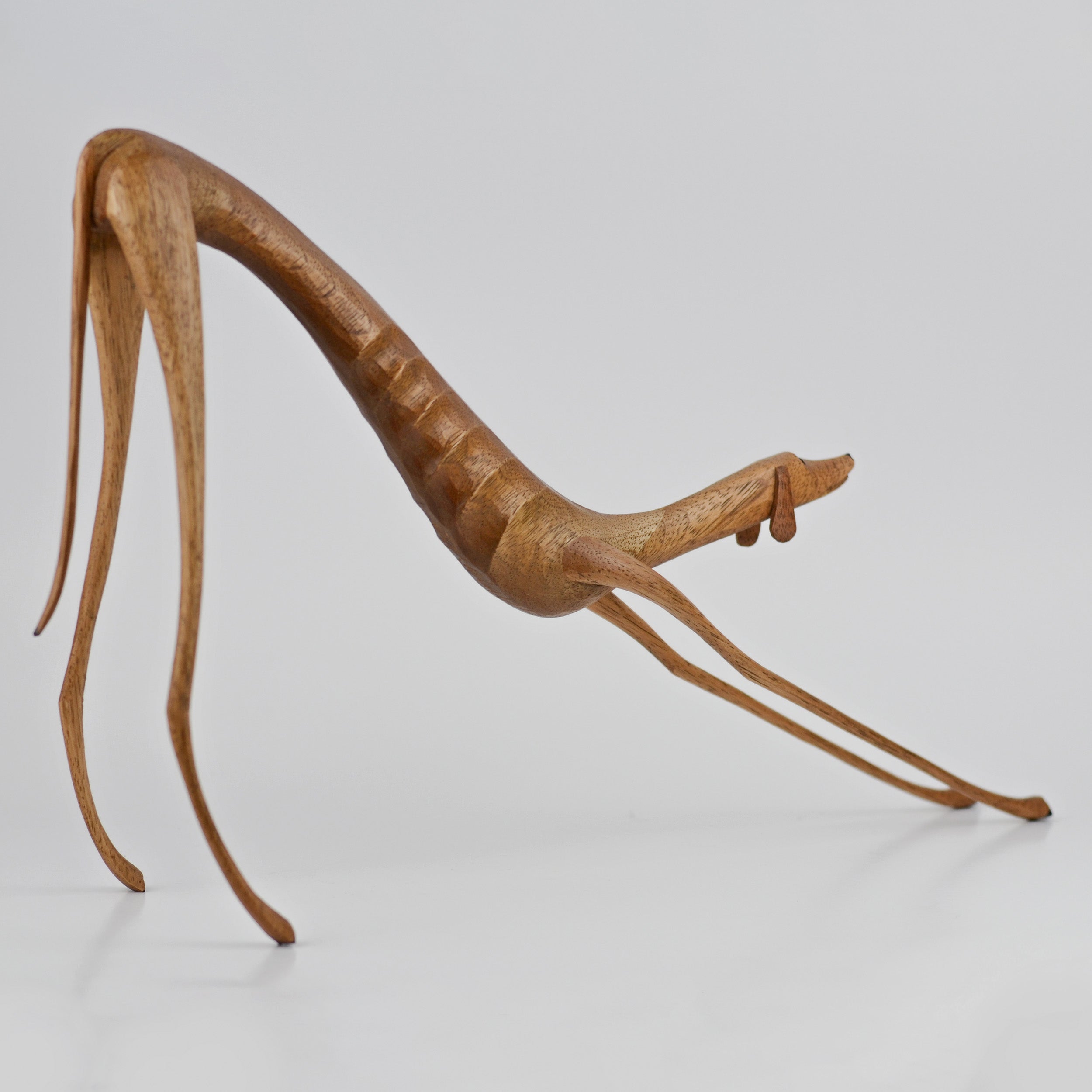 Wooden Dog Sculpture (Baleia) - Marcos de Sertânia