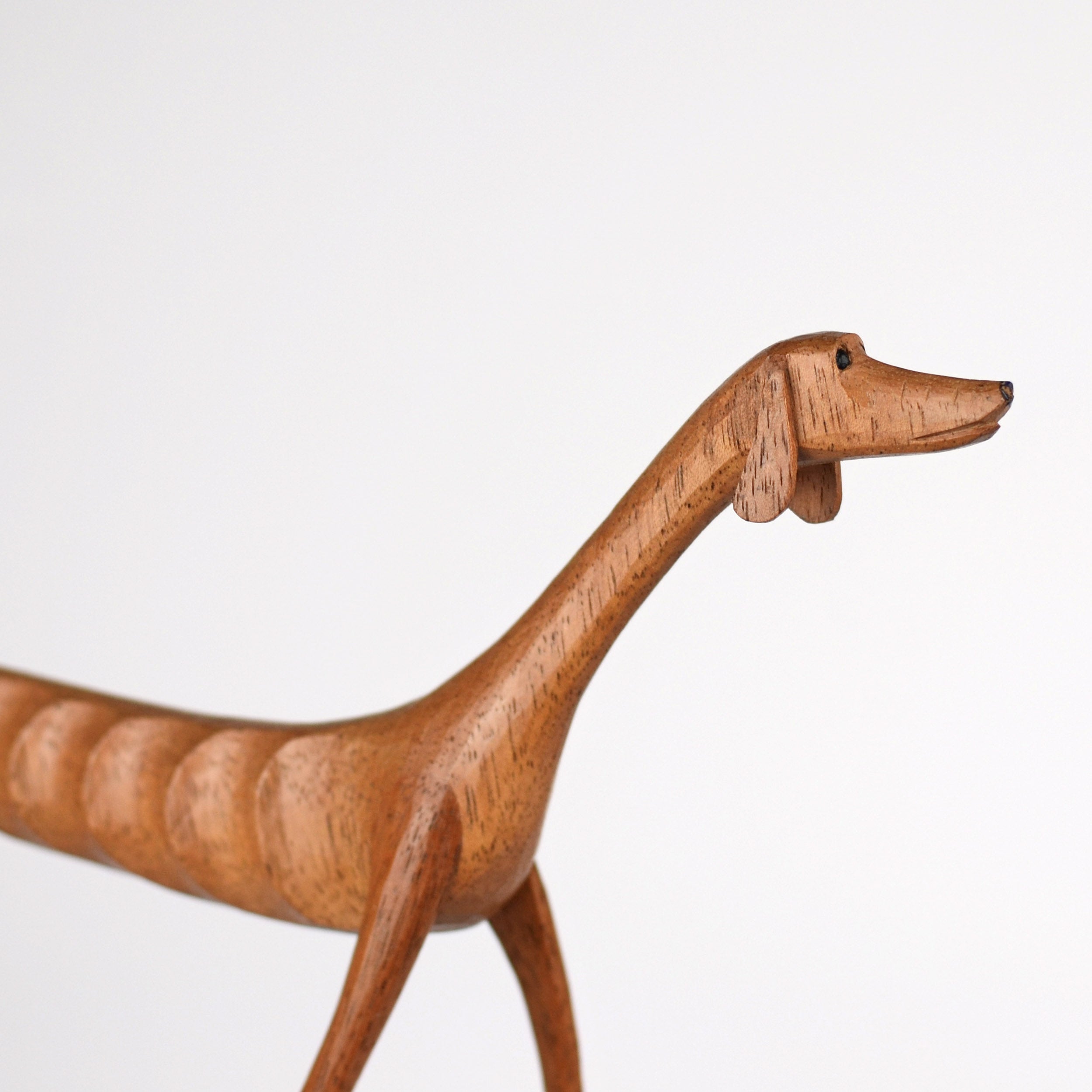 Baleia the Dog — Standing, Head Held High