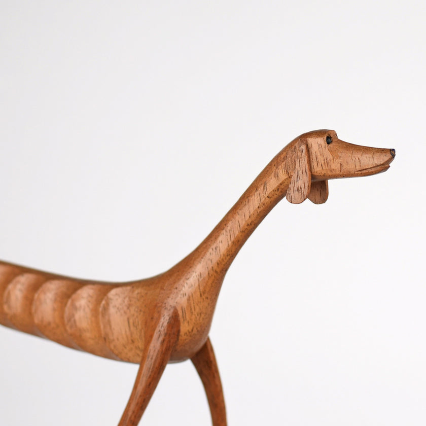 Baleia the Dog — Standing, Head Held High